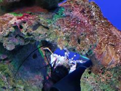 -海合安武汉极地海洋公园