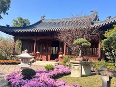 -江心屿景区