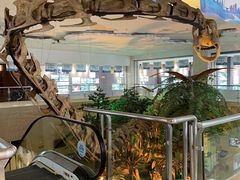 -甘肃地质博物馆