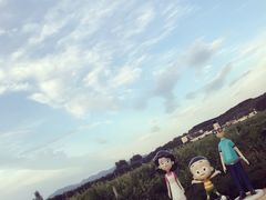 -北京张裕爱斐堡酒庄