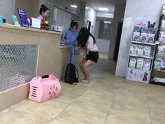 -宠颐生贝利健动物医院(谢家湾分院)