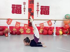 -西安小天鹅艺术团(金花路校区)