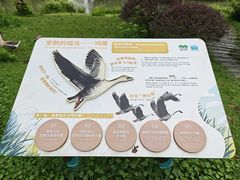 -海珠湖公园