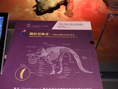 -正佳自然科学博物馆