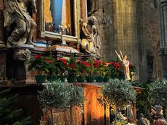 -斯蒂芬主教座堂(Stephansdom)