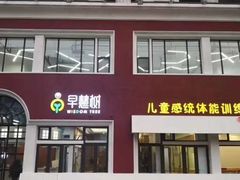 -早慧树儿童感觉统合体能训练中心(市北校区)