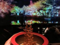 -地球美食剧场