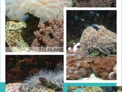 -北戴河圣蓝海洋公园