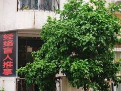 -经络盲人推拿(鼎鑫中心店)