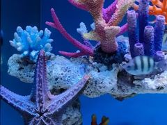 -上海海昌海洋公园