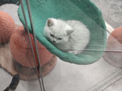 -极木²邸 人与宠物·互动社区