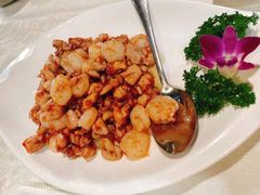 鸡里蹦-丁老爷子苏香圆