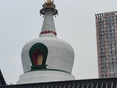 -西塔