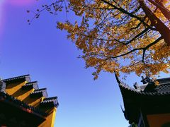 -杭州西湖风景名胜区-三生石