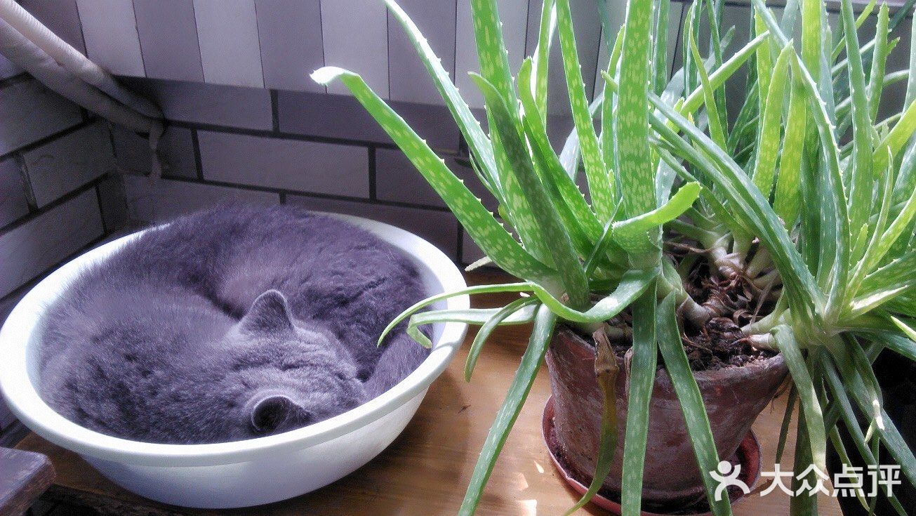 对不起的淘小桃🍑为什么不能珍惜过去的好时光？