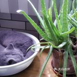 对不起的淘小桃🍑为什么不能珍惜过去的好时光？