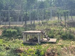 -石家庄市动物园