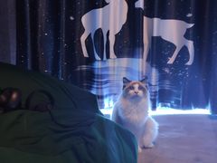 -零纪元VR体验馆·桌游(黄浦店)