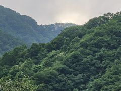 -陕西省红河谷森林公园