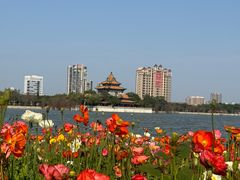 -顺峰山公园