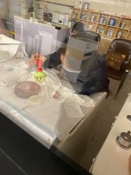 -爱贝蕊恩韩式月子会所(宝安店)