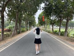-光明小镇欢乐田园