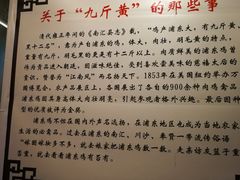 -九斤黄三黄鸡专卖店