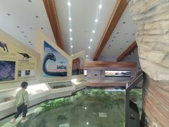 -延庆地质公园博物馆