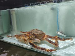 -樱之盛宴·蟹料理海鲜自助(前进大街店)