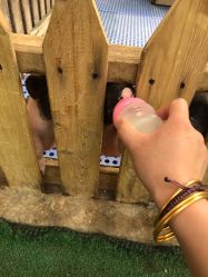 点击看大图 -萌宠亲子动物乐园(槐房万达店)