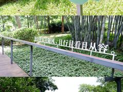 -云溪植物园
