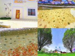 -水上乐园·欢乐世界