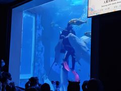 -太平洋海底世界