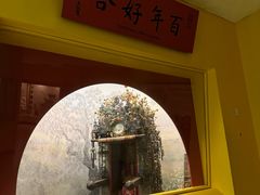 -美国自然历史博物馆