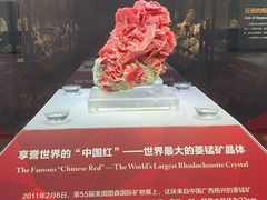 -湖南省地质博物馆