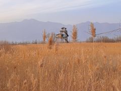 -野鸭湖国家湿地公园