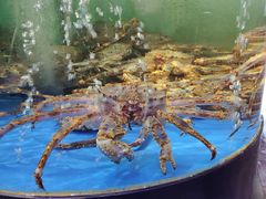 -蟹之国·精品蟹料理(极地店)