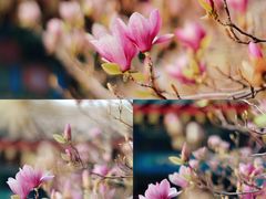 -大钟寺古钟博物馆