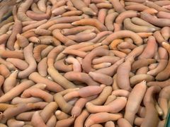 -恒达综合农贸市场(黄山路店)