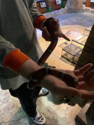 -酷嗒动物文化乐园(cutezoo西溪乐天城店)