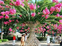 -杭州城北体育公园