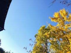 -贵阳市花溪国家城市湿地公园