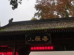 -中贸广场