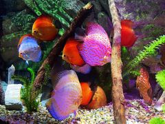 -上海海洋水族馆