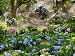 -名花谷生态庄园