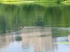 景点-贵阳市花溪国家城市湿地公园