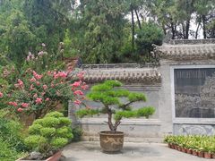 -花洲书院
