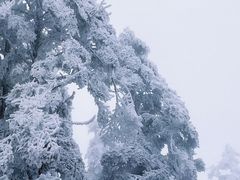 -瓦屋山景区