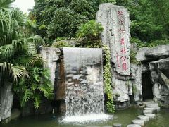 -广州市流溪河国家森林公园