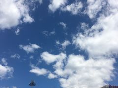 -金北顺大锅家(신사본점)